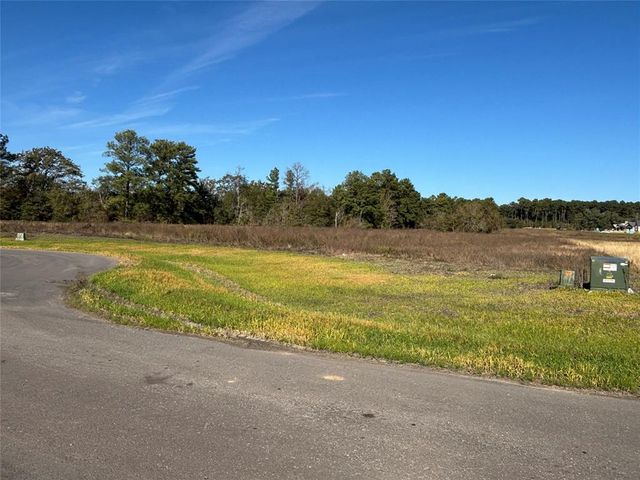 9606 Cedar Lake Court, Plantersville, TX 77363