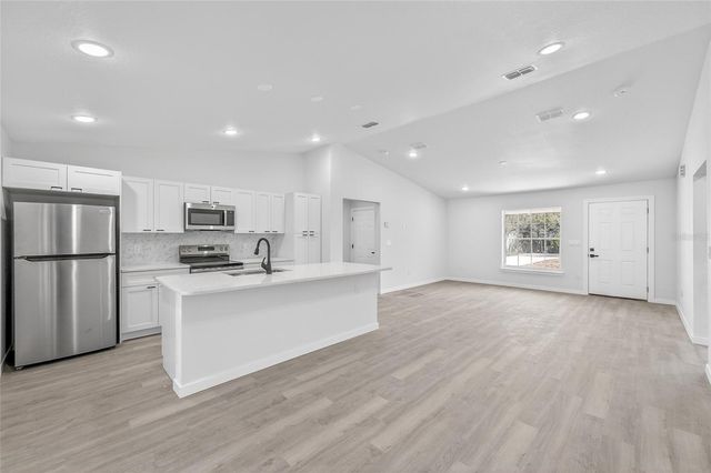 12 MALAUKA PASS, Ocklawaha, FL 32179