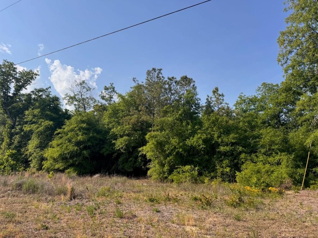 2716 W Highway 378 Hannah, Gresham, SC 29546 — exterior