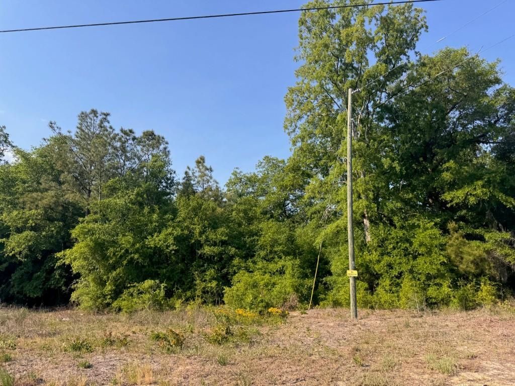 2716 W Highway 378 Hannah, Gresham, SC 29546 — photo 2