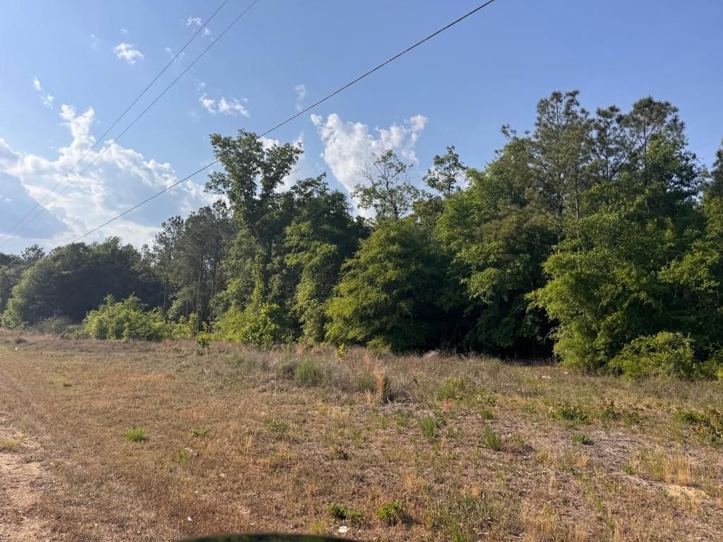 2716 W Highway 378 Hannah, Gresham, SC 29546 — photo 3