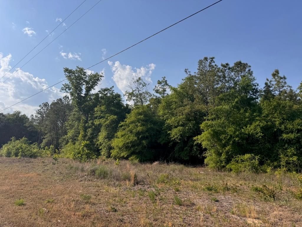2716 W Highway 378 Hannah, Gresham, SC 29546 — photo 5