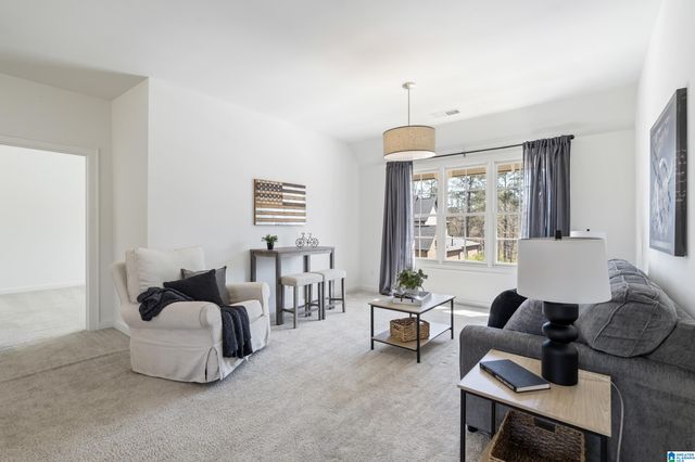 2045 NUNNALLY PASS, Hoover, AL 35244