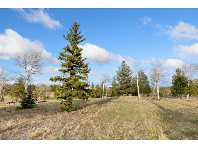 937 Pitchfork Rd, Hartsel, CO 80449