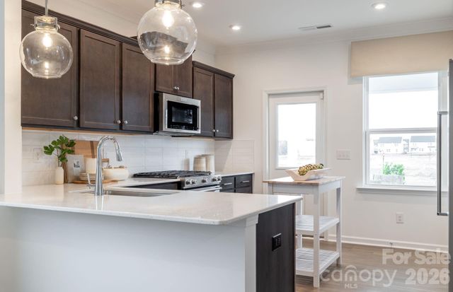 10011 Limpkin Court, Charlotte, NC 28278