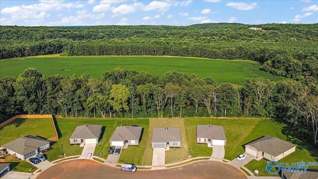 191 Olde Hearth Road, New Market, AL 35761