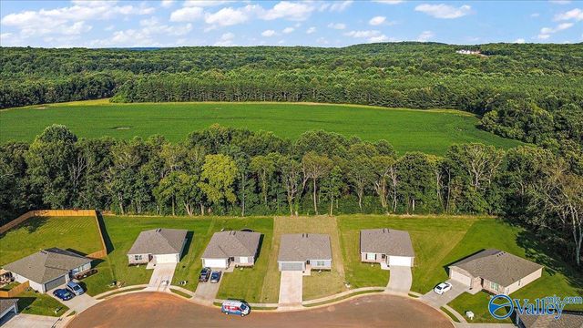 191 Olde Hearth Road, New Market, AL 35761