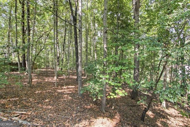 504 Chestnut Ridge, Woodstock, GA 30189
