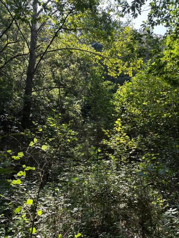 2184 Shadrick Ferry Road, Frankfort, KY 40601