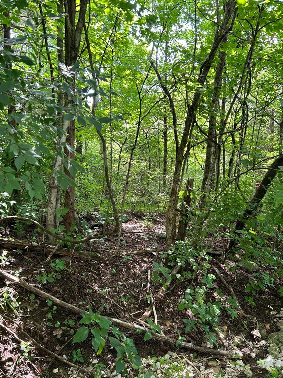 2184 Shadrick Ferry Road, Frankfort, KY 40601