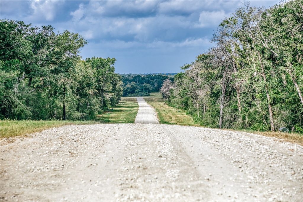 LOT 10 Sunny James Lane, Franklin, TX 77856 — photo 3