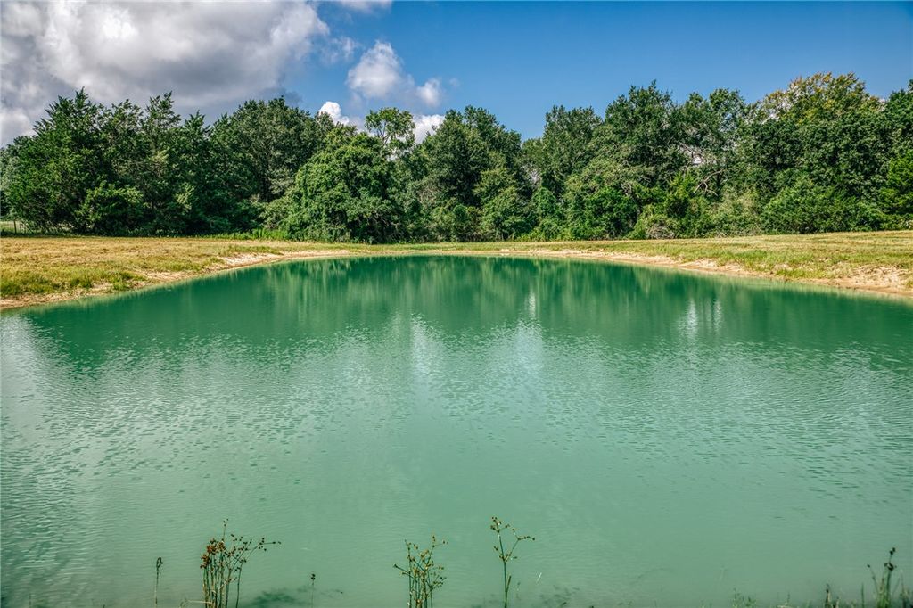 LOT 10 Sunny James Lane, Franklin, TX 77856 — photo 5