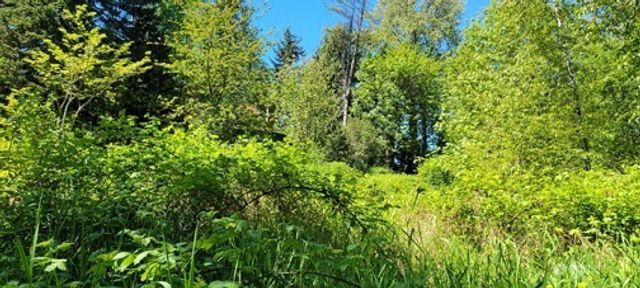 825 99th Avenue SE, Lake Stevens, WA 98258