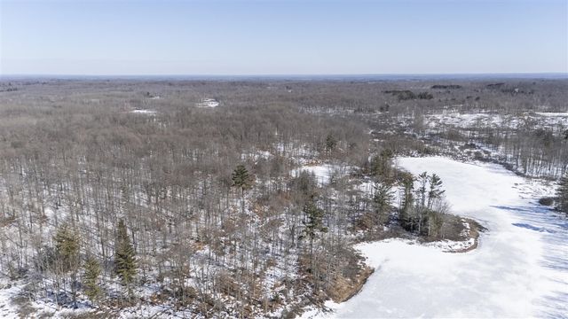 10478 Wampum Trail, Evart, MI 49631