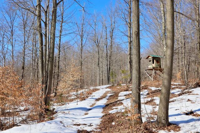 10478 Wampum Trail, Evart, MI 49631