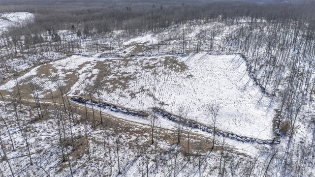 10478 Wampum Trail, Evart, MI 49631