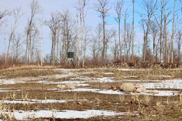 10478 Wampum Trail, Evart, MI 49631