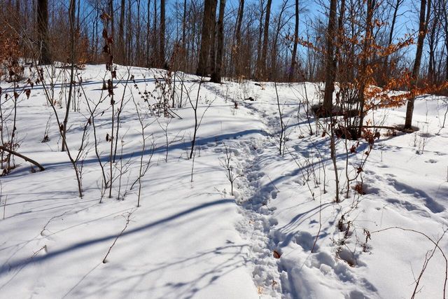 10478 Wampum Trail, Evart, MI 49631