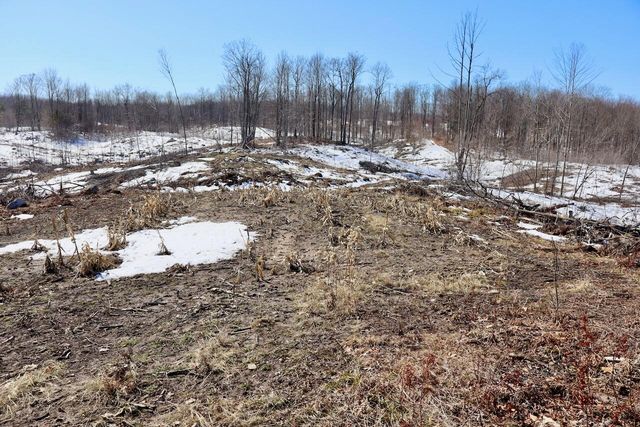 10478 Wampum Trail, Evart, MI 49631