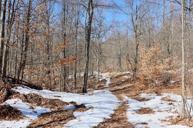 10478 Wampum Trail, Evart, MI 49631