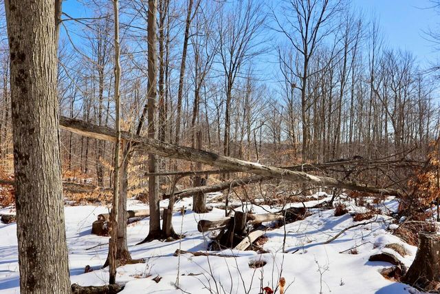 10478 Wampum Trail, Evart, MI 49631