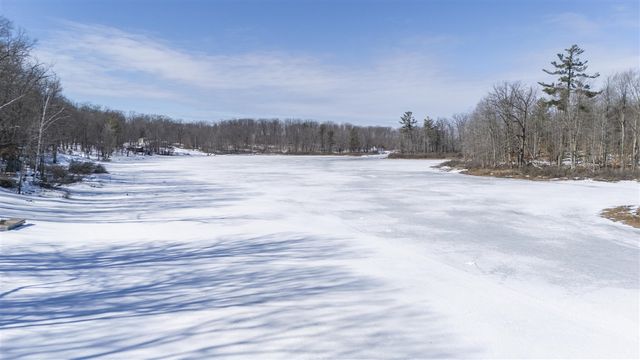 10478 Wampum Trail, Evart, MI 49631