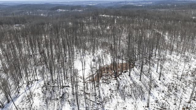 10478 Wampum Trail, Evart, MI 49631