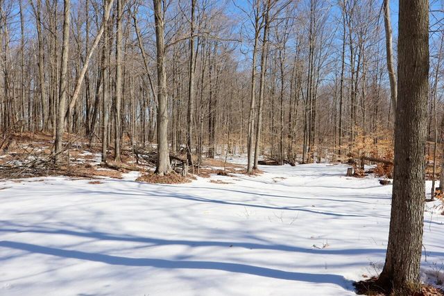 10478 Wampum Trail, Evart, MI 49631