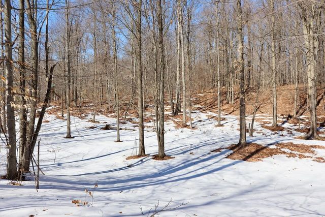 10478 Wampum Trail, Evart, MI 49631