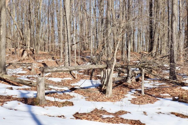 10478 Wampum Trail, Evart, MI 49631