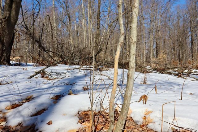 10478 Wampum Trail, Evart, MI 49631