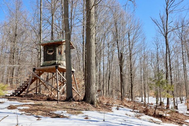 10478 Wampum Trail, Evart, MI 49631