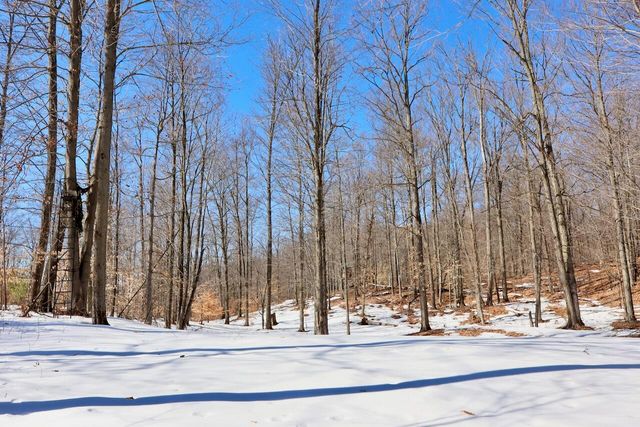 10478 Wampum Trail, Evart, MI 49631