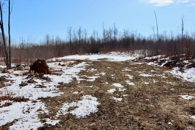 10478 Wampum Trail, Evart, MI 49631