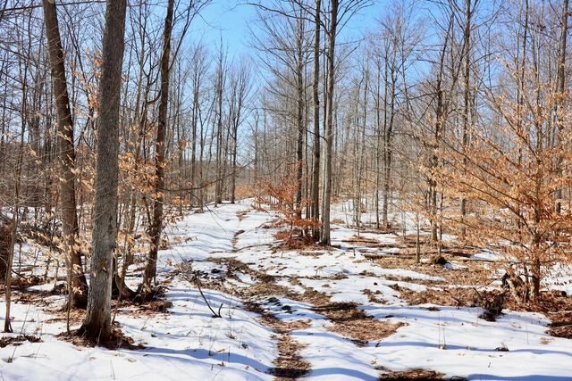 10478 Wampum Trail, Evart, MI 49631