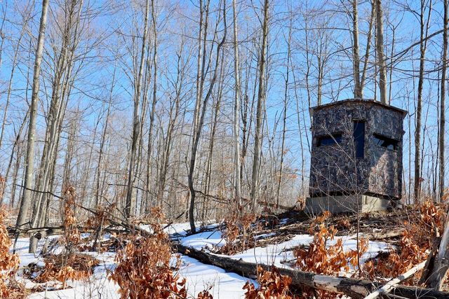 10478 Wampum Trail, Evart, MI 49631