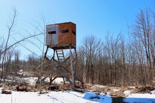 10478 Wampum Trail, Evart, MI 49631