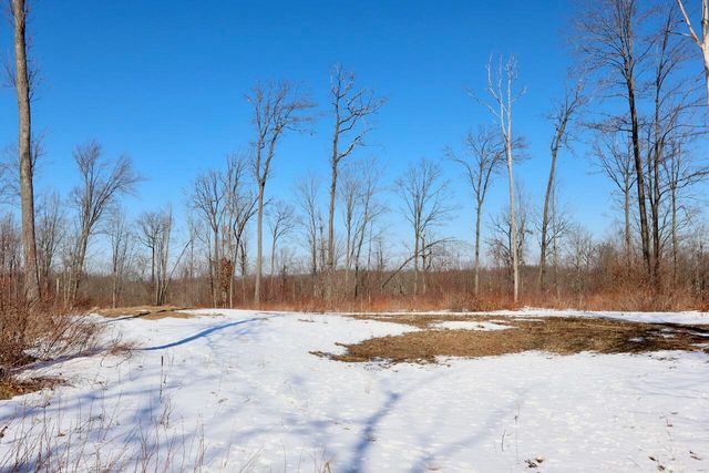 10478 Wampum Trail, Evart, MI 49631