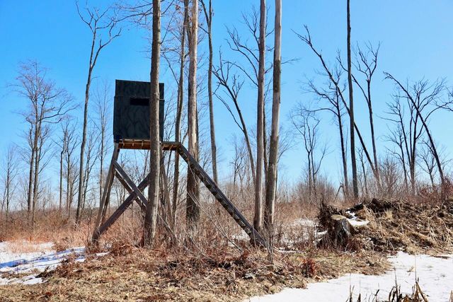 10478 Wampum Trail, Evart, MI 49631