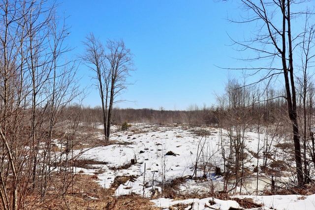 10478 Wampum Trail, Evart, MI 49631