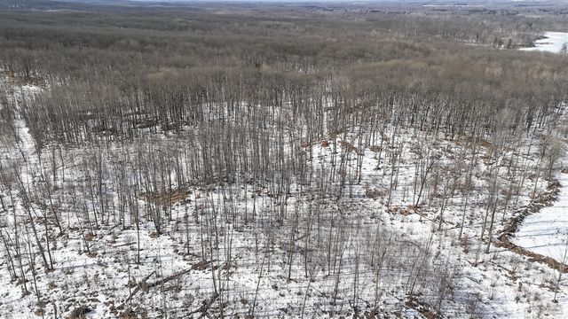 10478 Wampum Trail, Evart, MI 49631