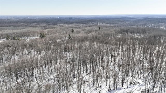 10478 Wampum Trail, Evart, MI 49631