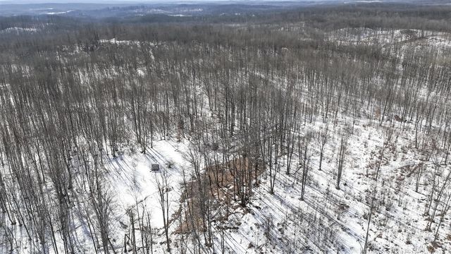 10478 Wampum Trail, Evart, MI 49631