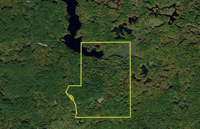 10478 Wampum Trail, Evart, MI 49631