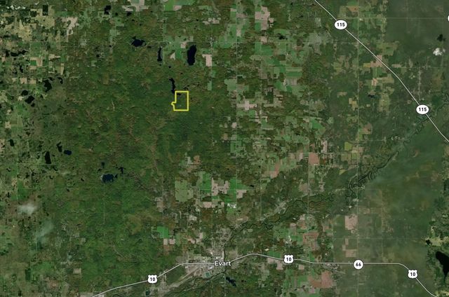 10478 Wampum Trail, Evart, MI 49631