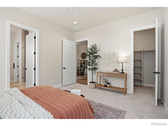 1727 Barefoot Drive, Windsor, CO 80550