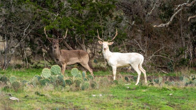 30 Coastal LOOP, Johnson City, TX 78636