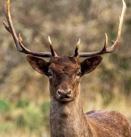 30 Coastal LOOP, Johnson City, TX 78636