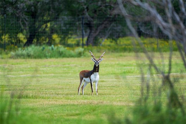 30 Coastal LOOP, Johnson City, TX 78636