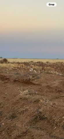 Fm 1317, Tahoka, TX 79373